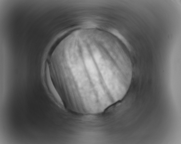 X0000088741477200706282134