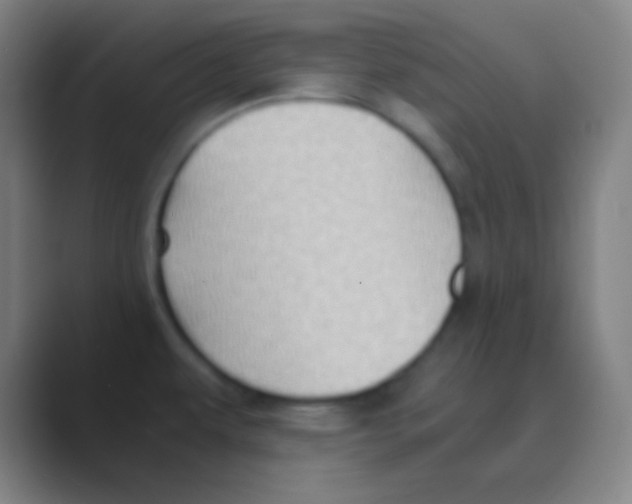 X0000088741479200706282134