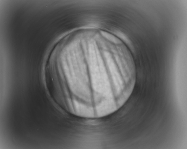 X0000088741480200706282134