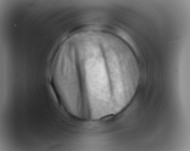 X0000088741481200706282134