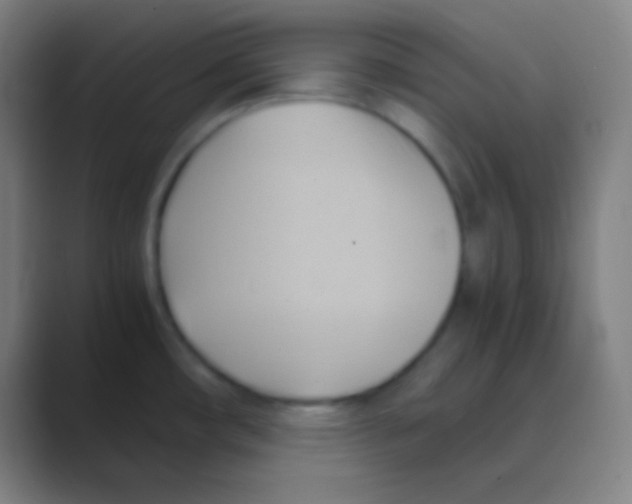 X0000088741482200706282134