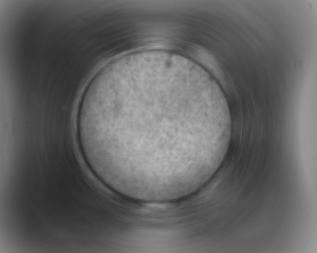X0000088741483200706282134