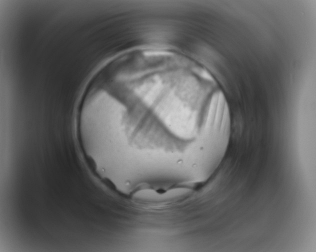 X0000088741484200706282134
