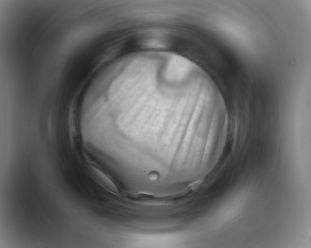 X0000088741487200706282134
