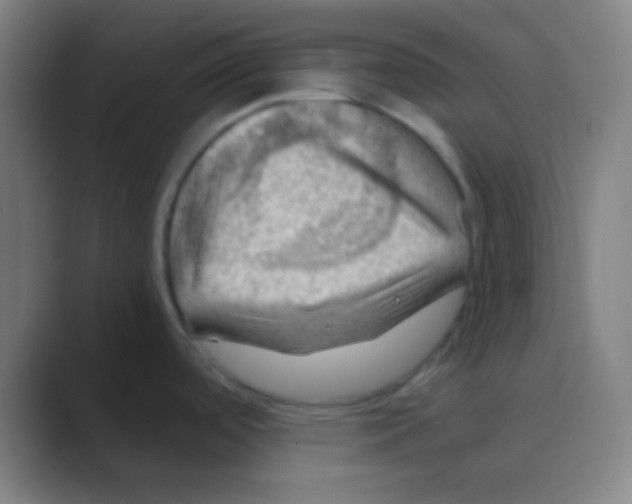 X0000088741488200706282134