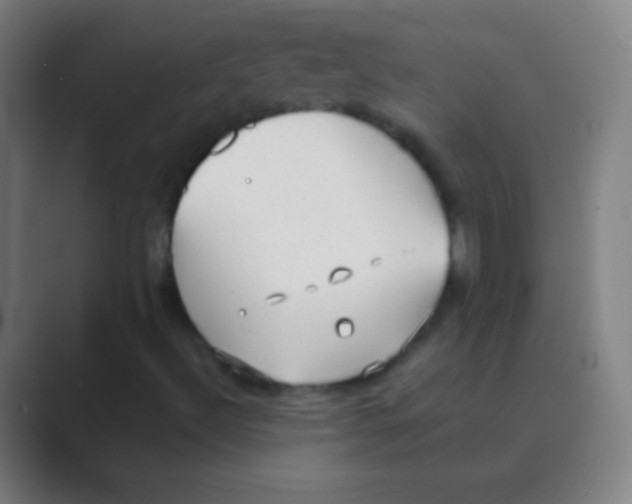 X0000088741492200706282133