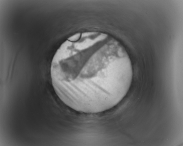 X0000088741494200706282133