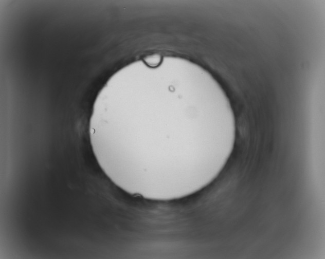 X0000088741495200706282133