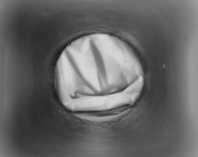 X0000088741496200706282133