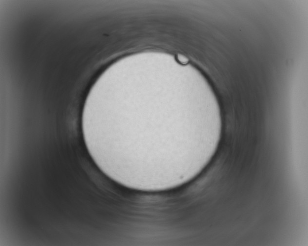 X0000088741499200706282133