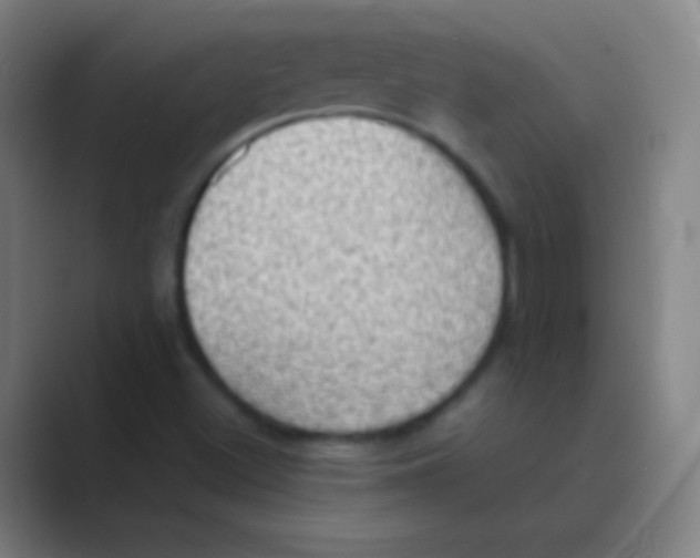 X0000088741500200706282133