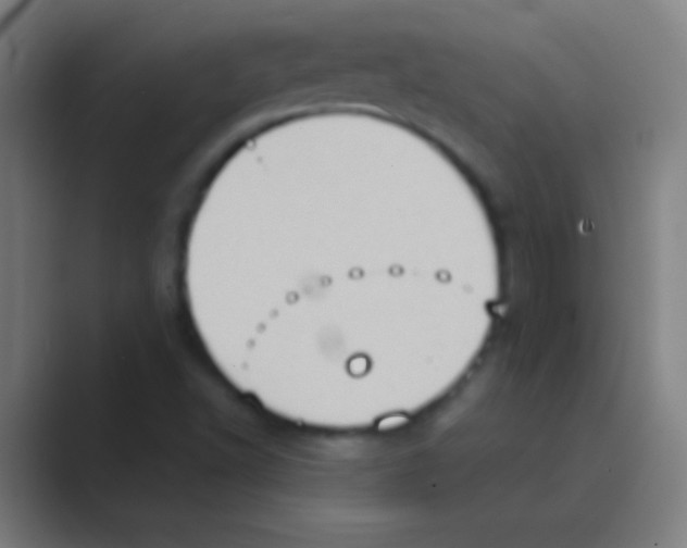 X0000088741502200706282133