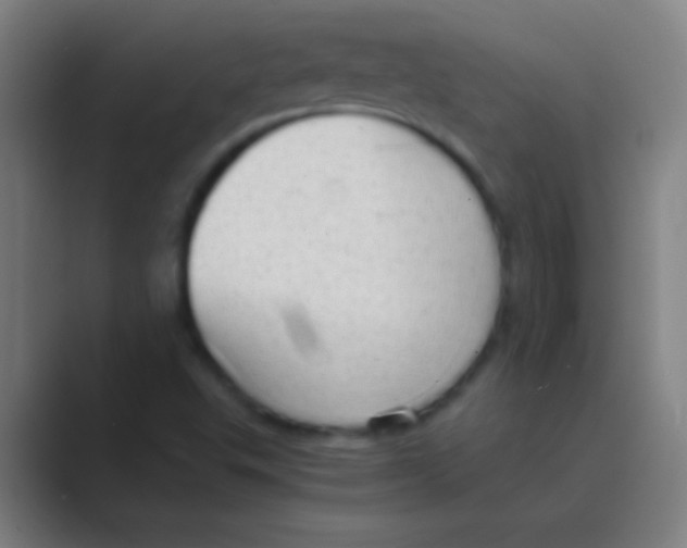 X0000088741503200706282133