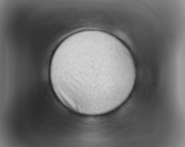X0000088741504200706282133