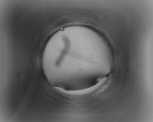 X0000088741505200706282133