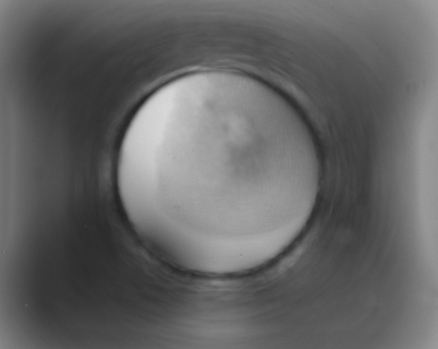 X0000088741506200706282133