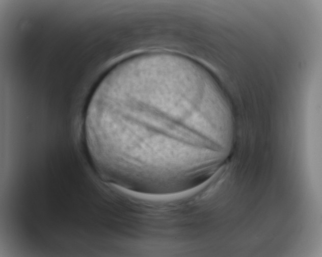 X0000088741507200706282134