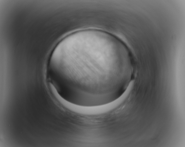 X0000088741508200706282134