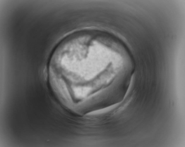 X0000088741509200706282134