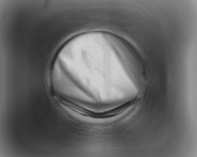 X0000088741510200706282134