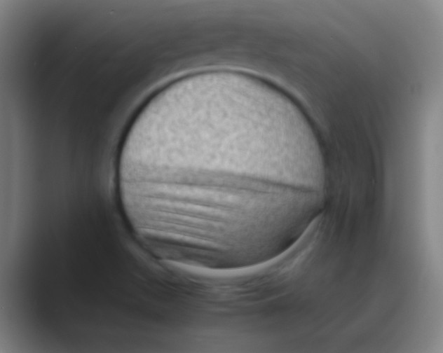 X0000088741511200706282134