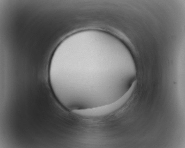 X0000088741512200706282134