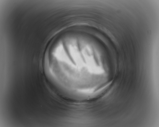 X0000088741513200706282134