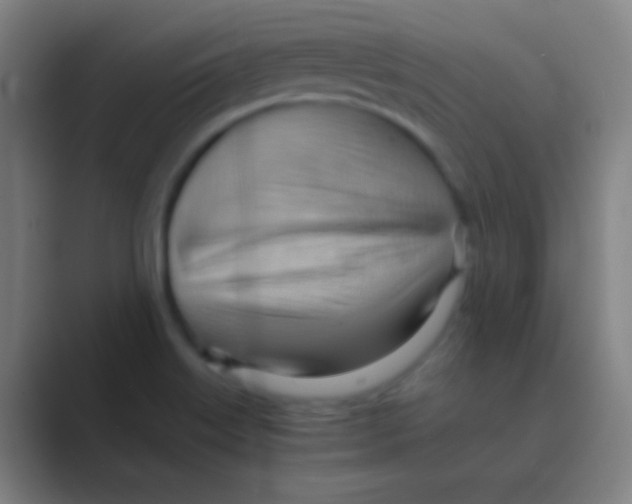 X0000088741515200706282134