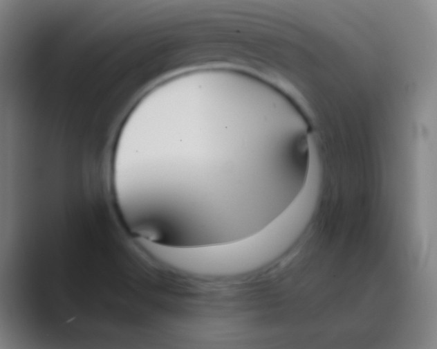 X0000088741516200706282134