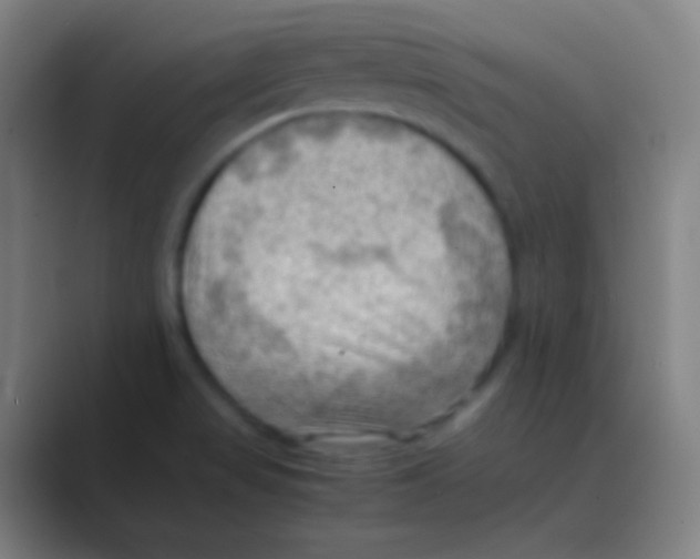 X0000088741517200706282134