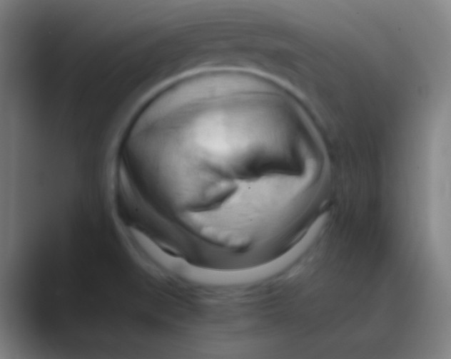 X0000088741519200706282134