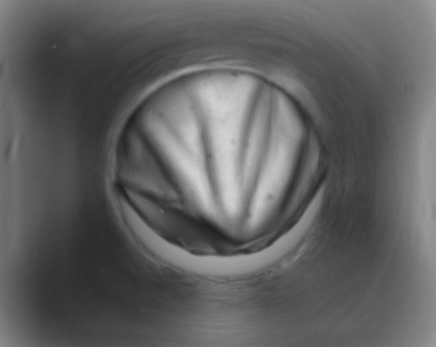 X0000088741520200706282134