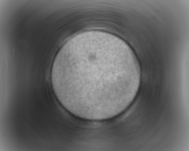 X0000088741521200706282134