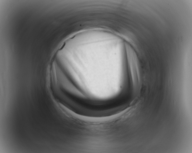 X0000088741524200706282134