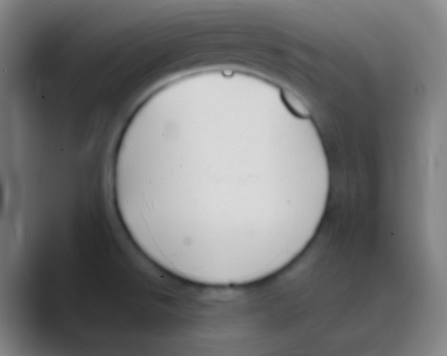 X0000088741526200706282134