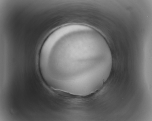 X0000088741527200706282134