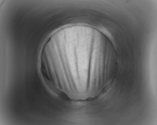 X0000088741528200706282134