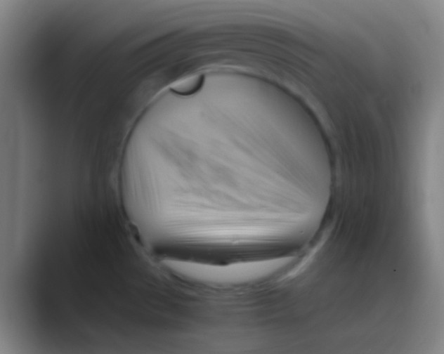 X0000088741529200706282134