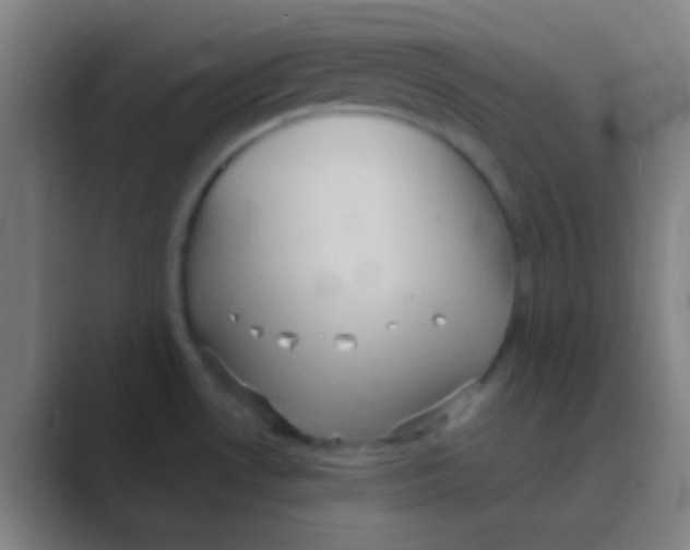 X0000088741530200706282134