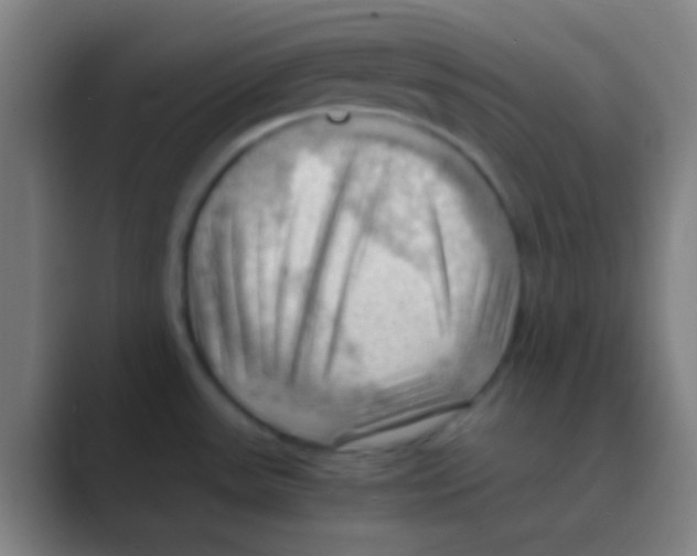 X0000088741531200706282134