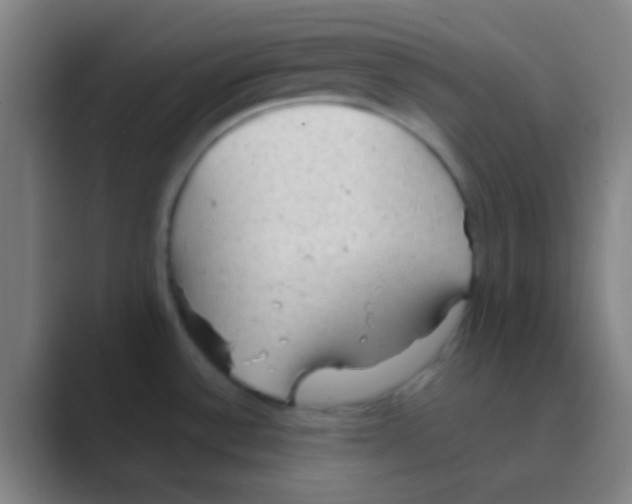X0000088741532200706282134