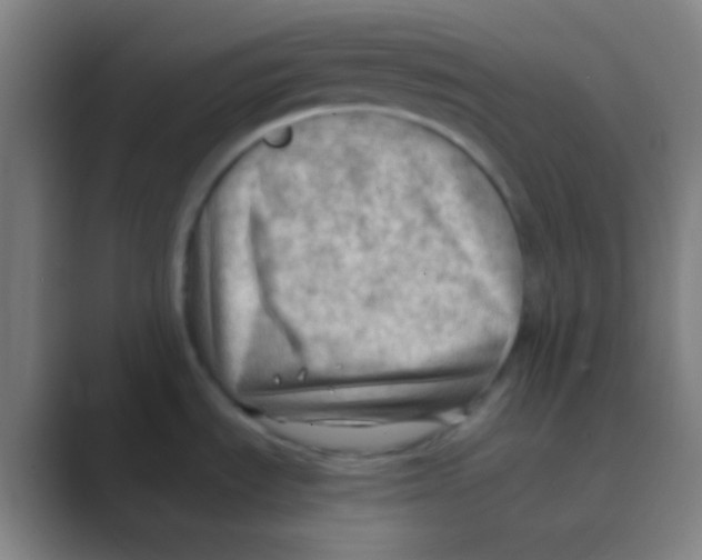 X0000088741535200706282134