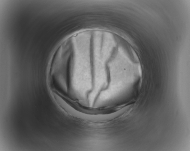 X0000088741536200706282134