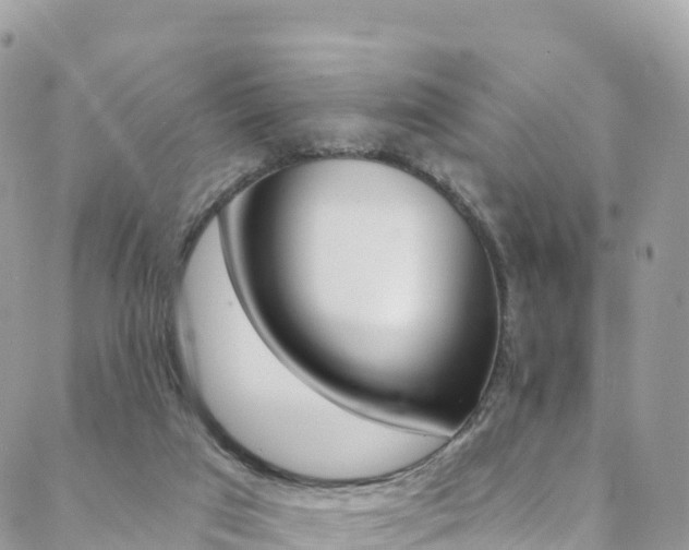 X0000088750017200705311128