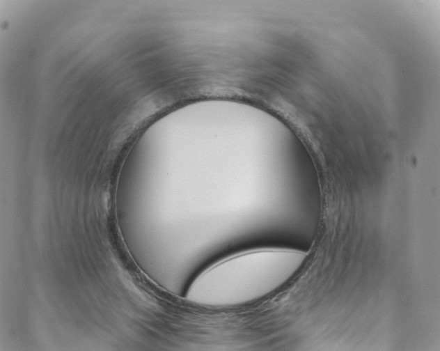 X0000088750063200705311127