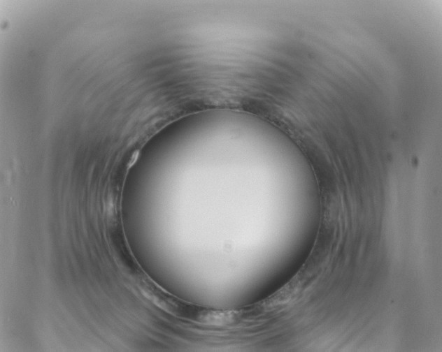 X0000088750084200705311127