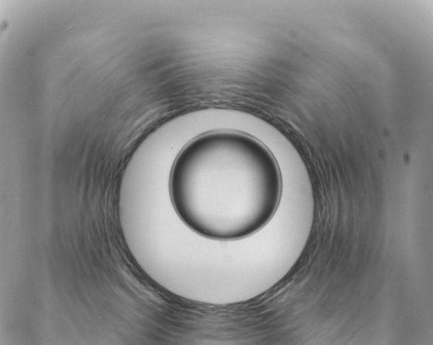 X0000088750092200705311127
