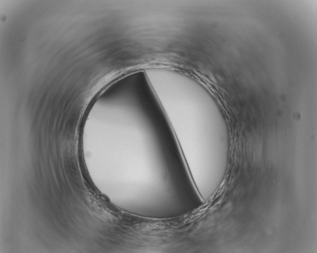 X0000088750100200705311127