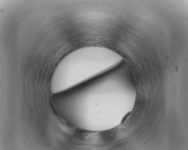 X0000088750132200705311126