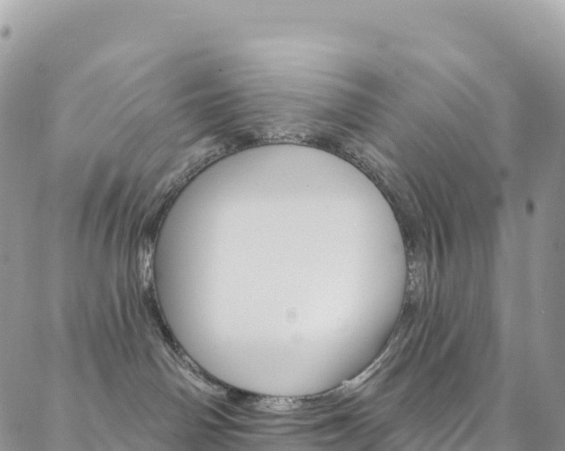 X0000088750142200705311126